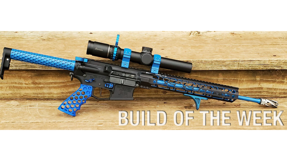build of the week 3 gun