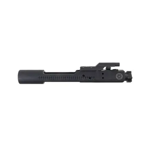Sionics Weapon Systems (SWS) AR-15 Bolt Carrier Group - Phosphate