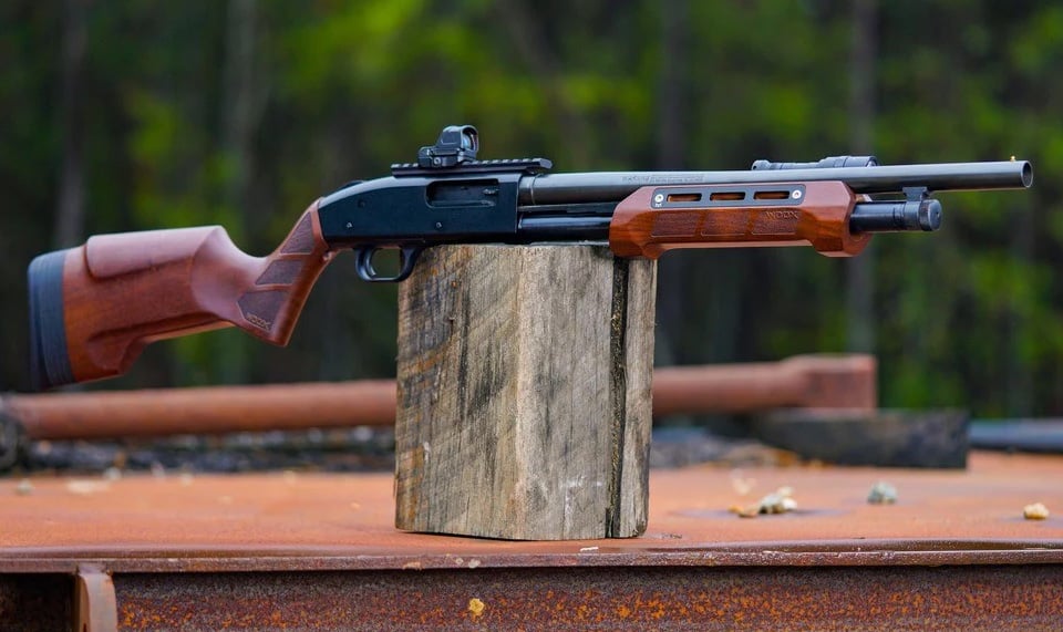 Woox shotgun furniture: Mossberg 500 vs Remington 870